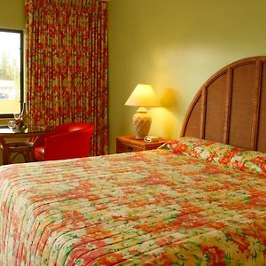 Single Room Garden View